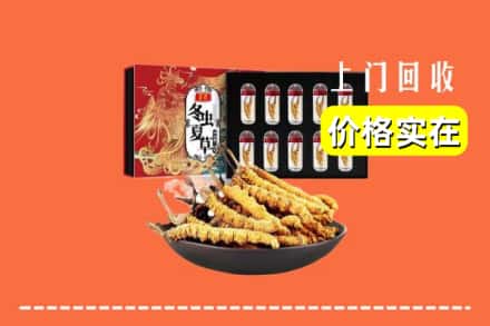 丹东市振安回收虫草